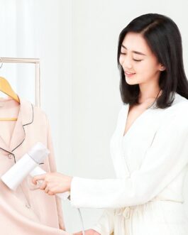 Small Household Electric Iron